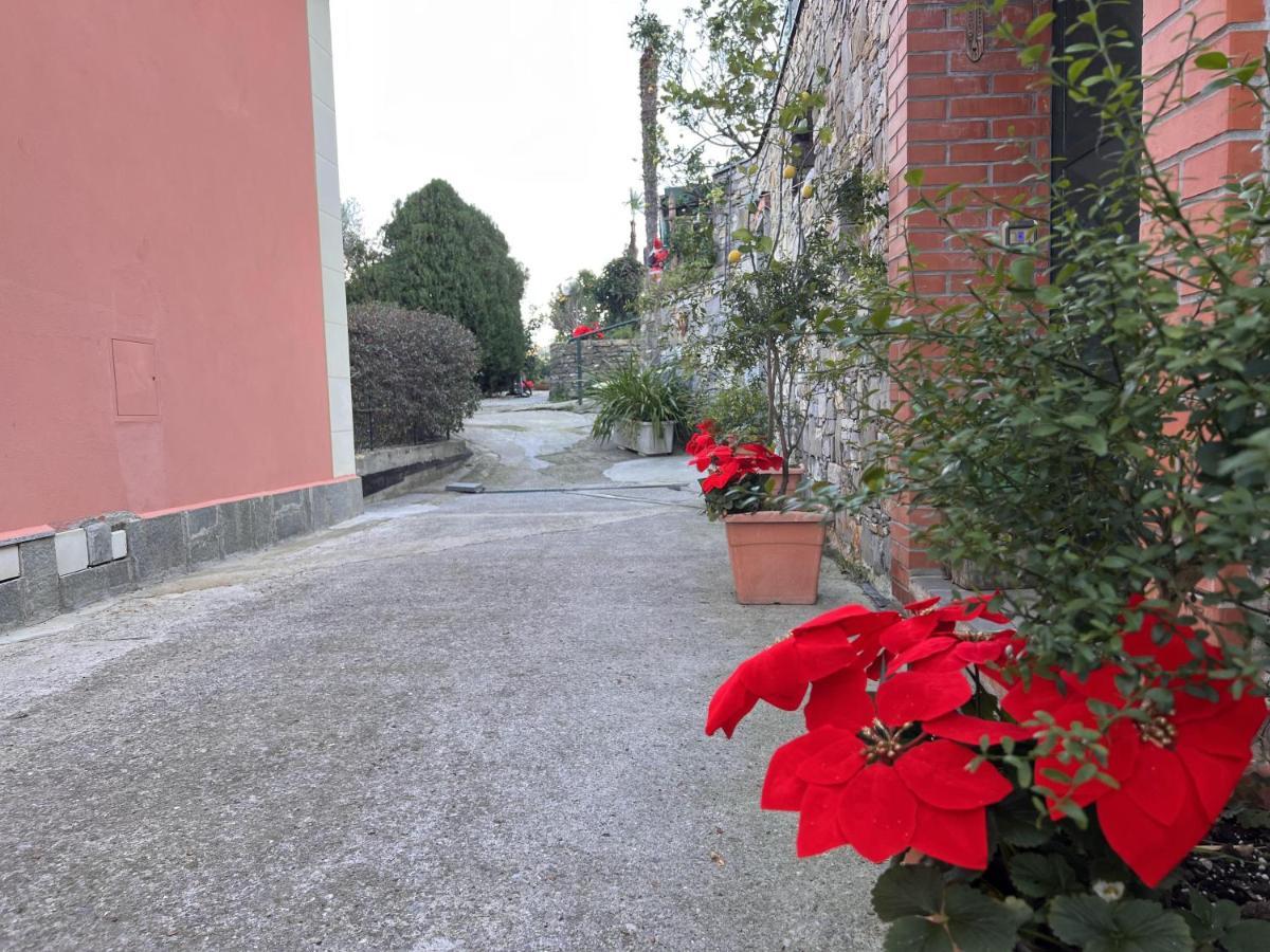 La Baita Di San Massimo Villa Rapallo Exteriör bild